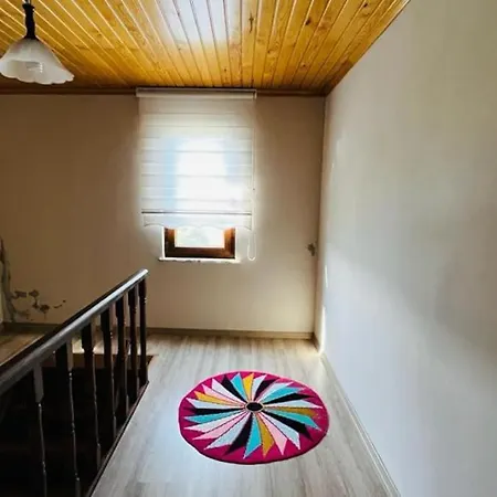 Aparts Villa *