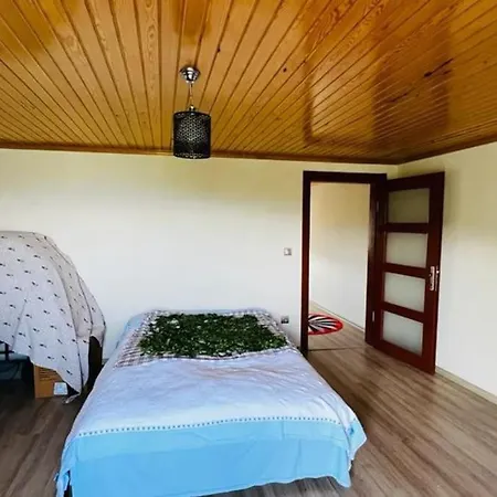 Aparts Villa Trabzon